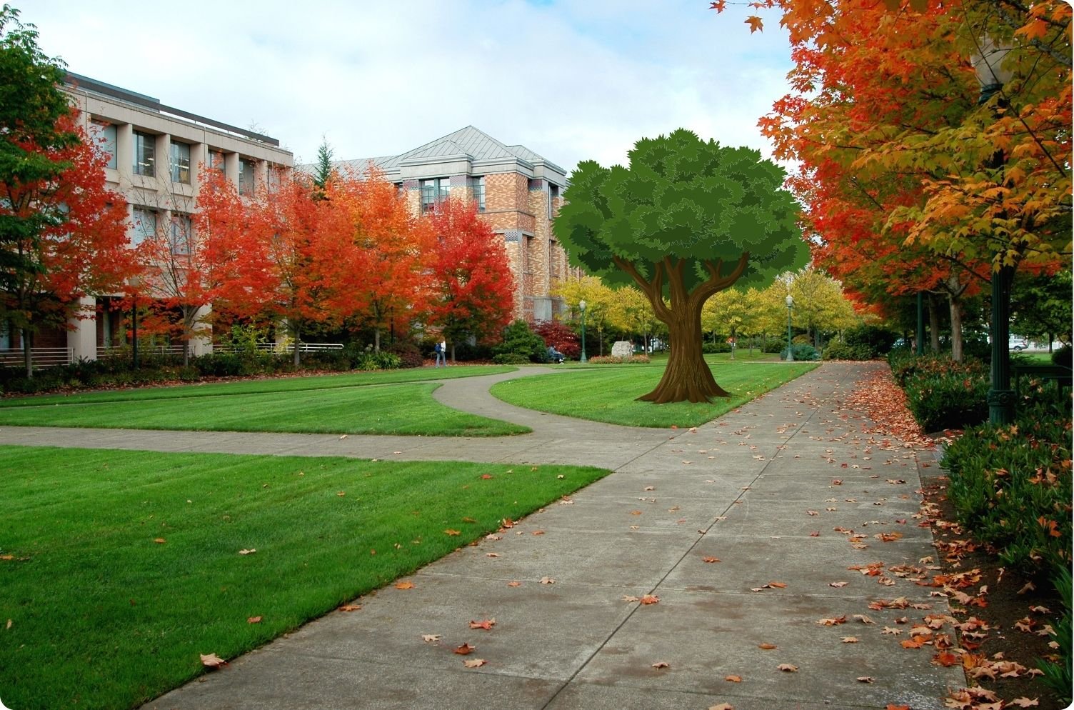 Campus Life
